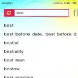 Download Collins FrenchEnglish Dictionary by DioDict Cell Phone Software